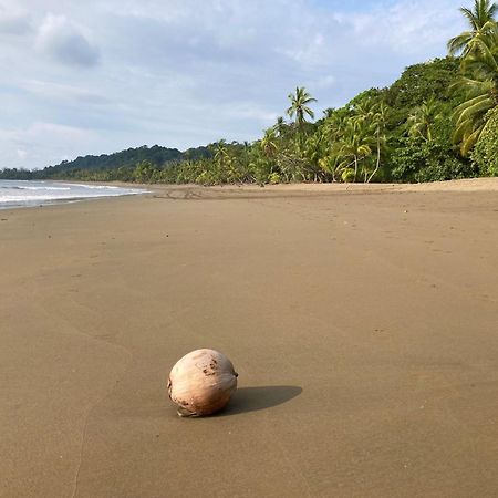 Corcovado & Drake Inn Drakes Bay エクステリア 写真