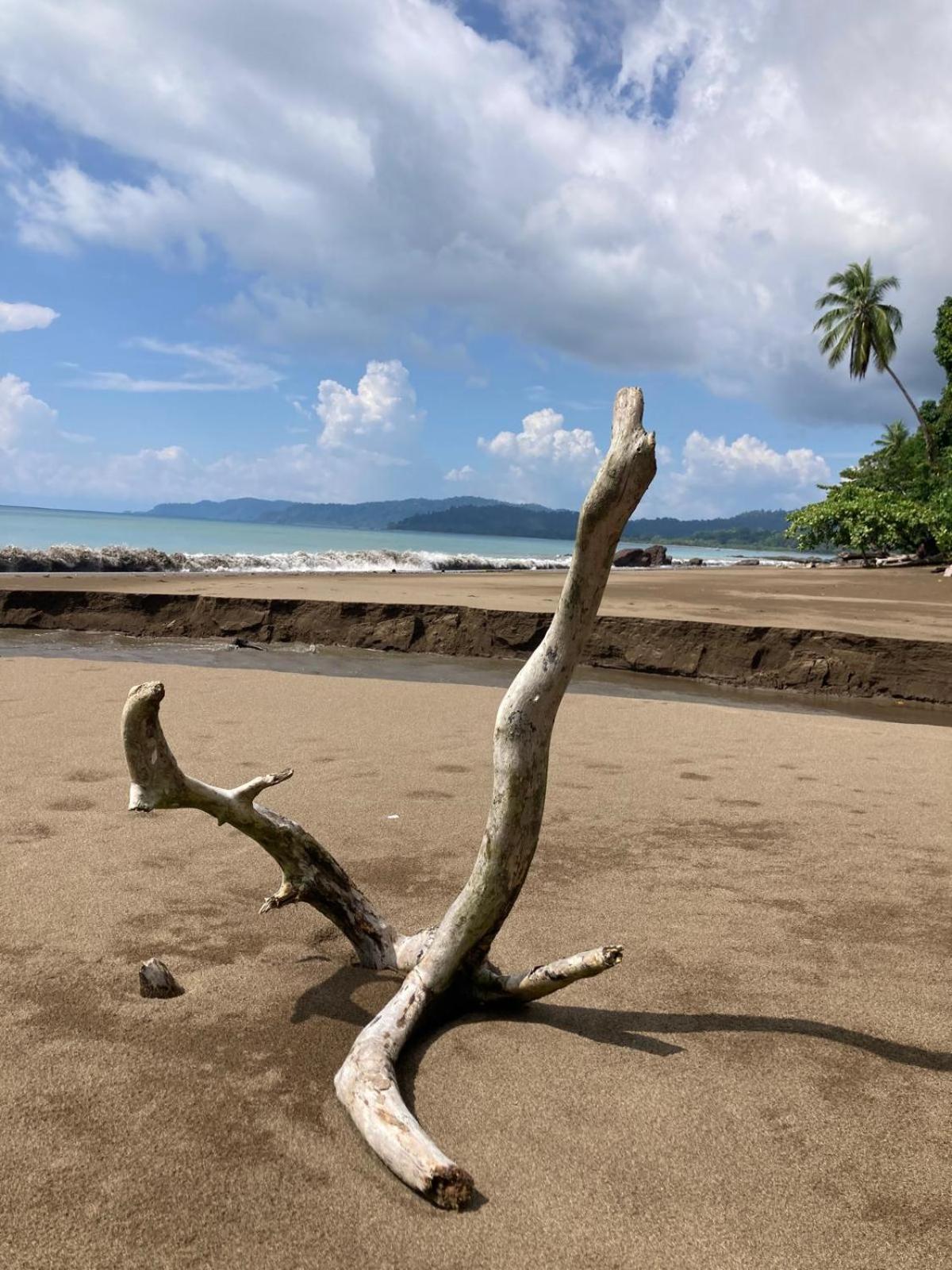 Corcovado & Drake Inn Drakes Bay エクステリア 写真