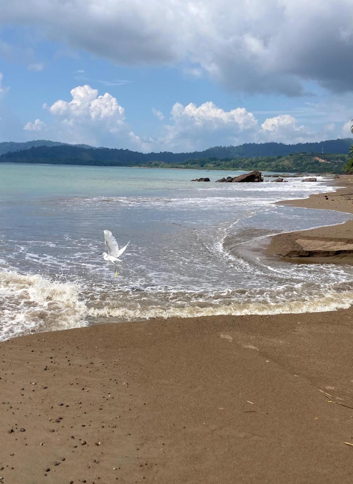 Corcovado & Drake Inn Drakes Bay エクステリア 写真