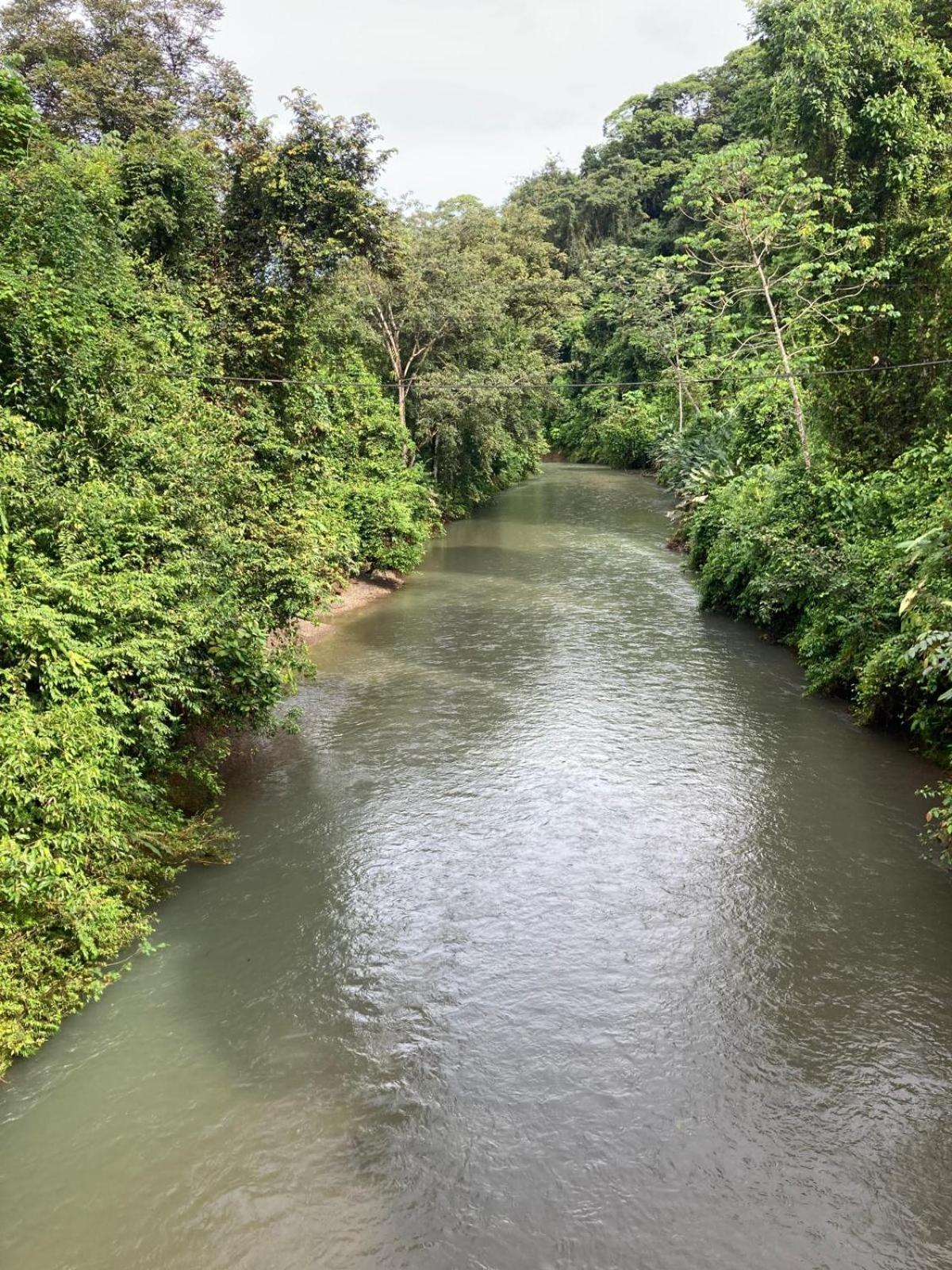 Corcovado & Drake Inn Drakes Bay エクステリア 写真