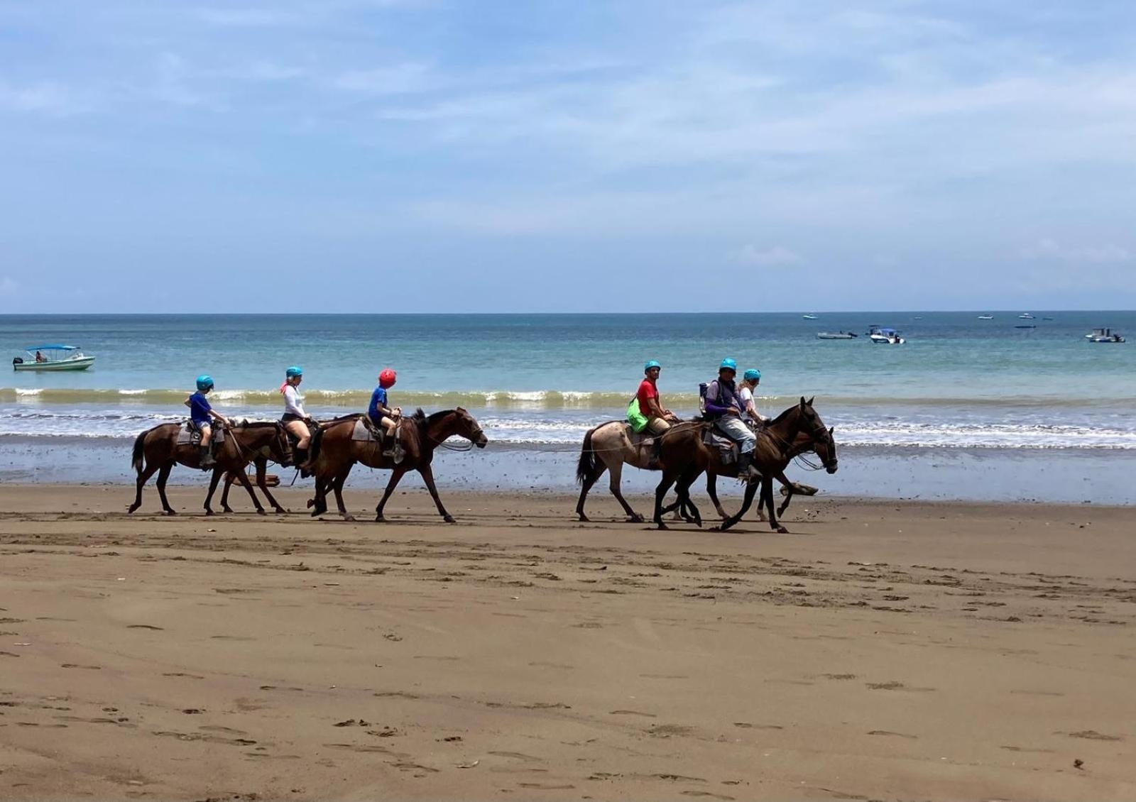 Corcovado & Drake Inn Drakes Bay エクステリア 写真