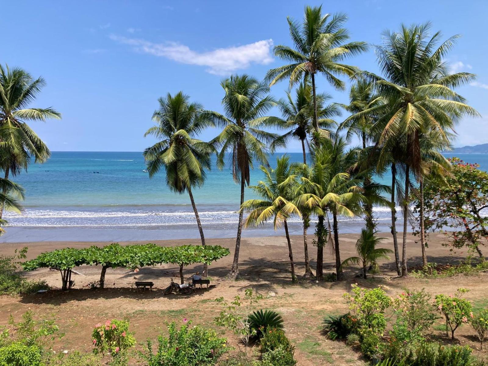 Corcovado & Drake Inn Drakes Bay エクステリア 写真