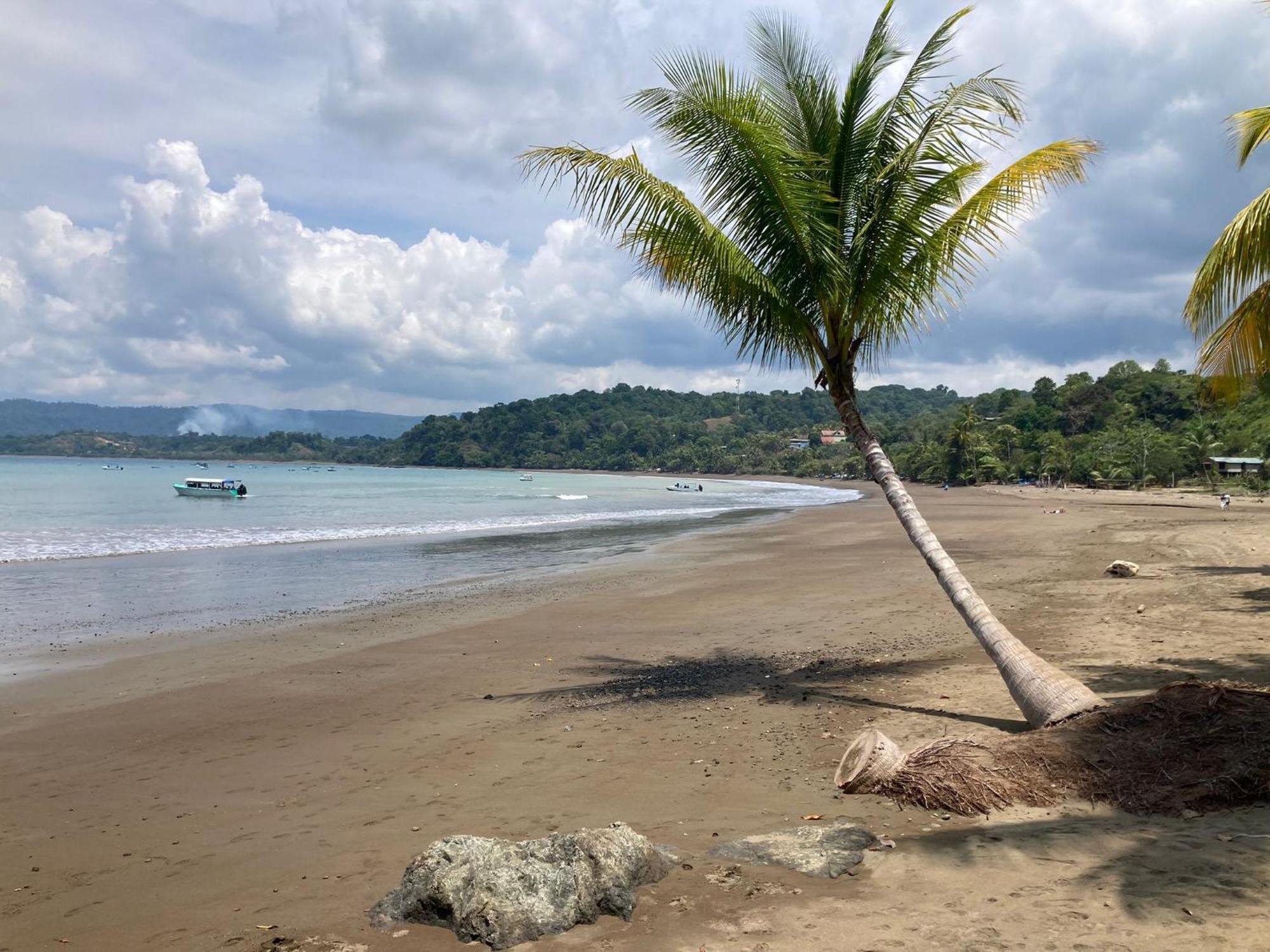 Corcovado & Drake Inn Drakes Bay エクステリア 写真