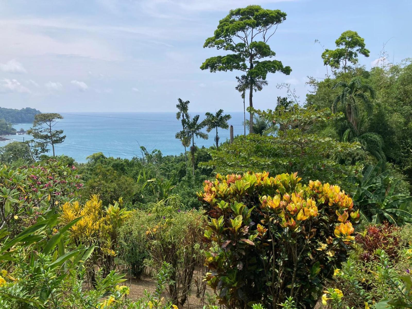 Corcovado & Drake Inn Drakes Bay エクステリア 写真