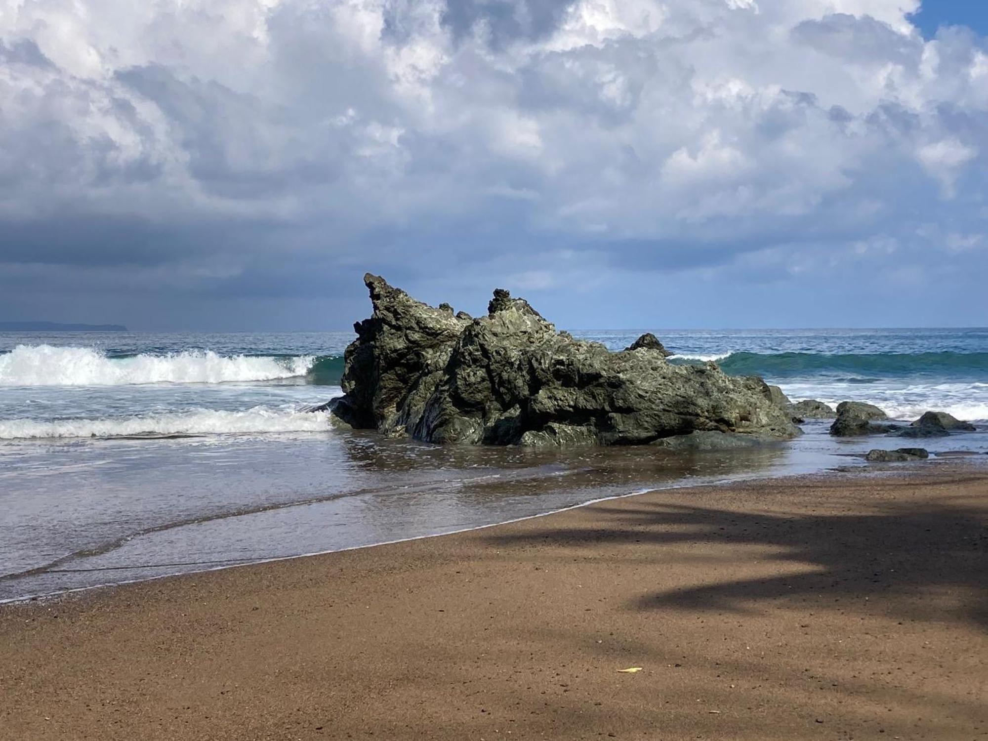 Corcovado & Drake Inn Drakes Bay エクステリア 写真